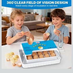 Incubators for Hatching Eggs