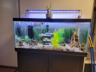 Fish Tank and Stand - 60 Gallon