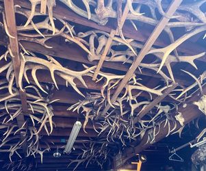 Roosevelt elk sheds for sale