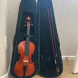 Violin