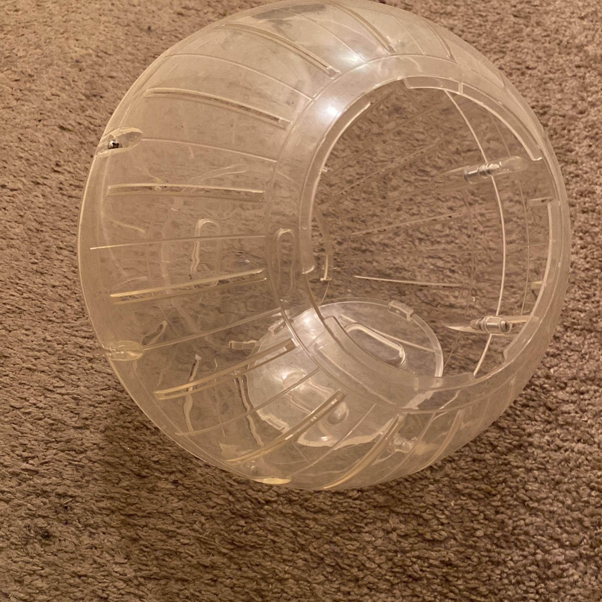 Small Pet Exercise Ball