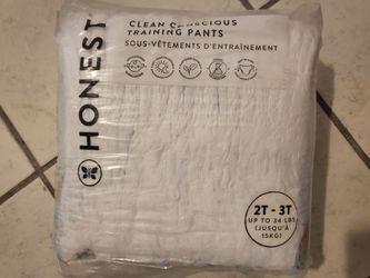 Honest Brand  Pullups Diapers Training Pants 2T 3T up to 34 lbs