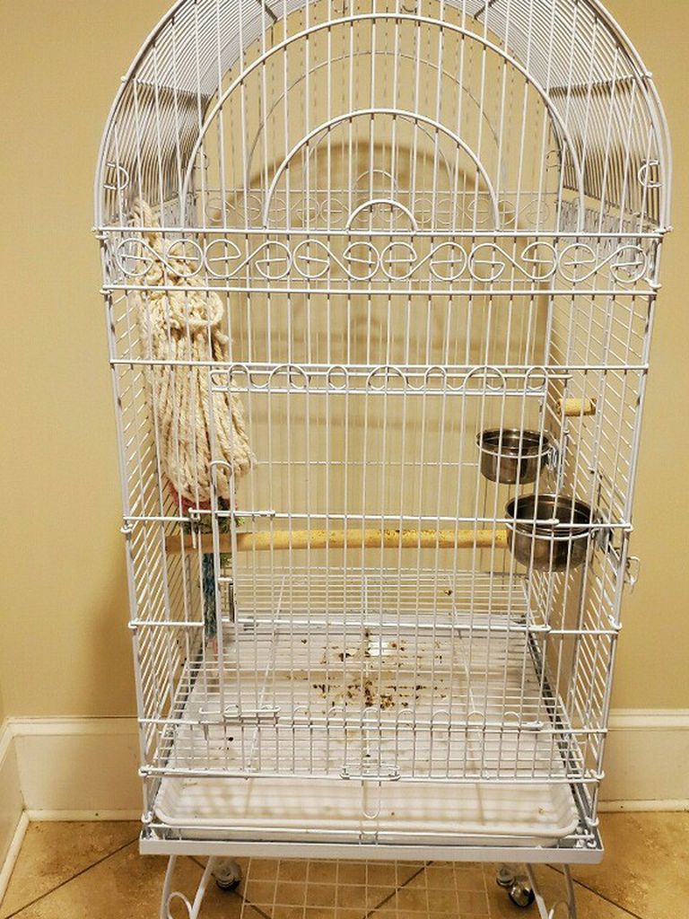 Large Bird Cage