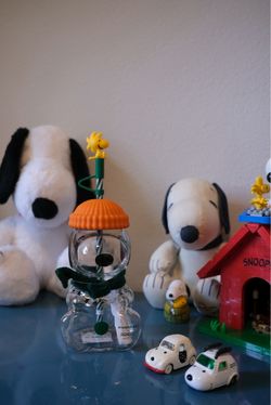 Snoopy X Starbucks Glass Cup
