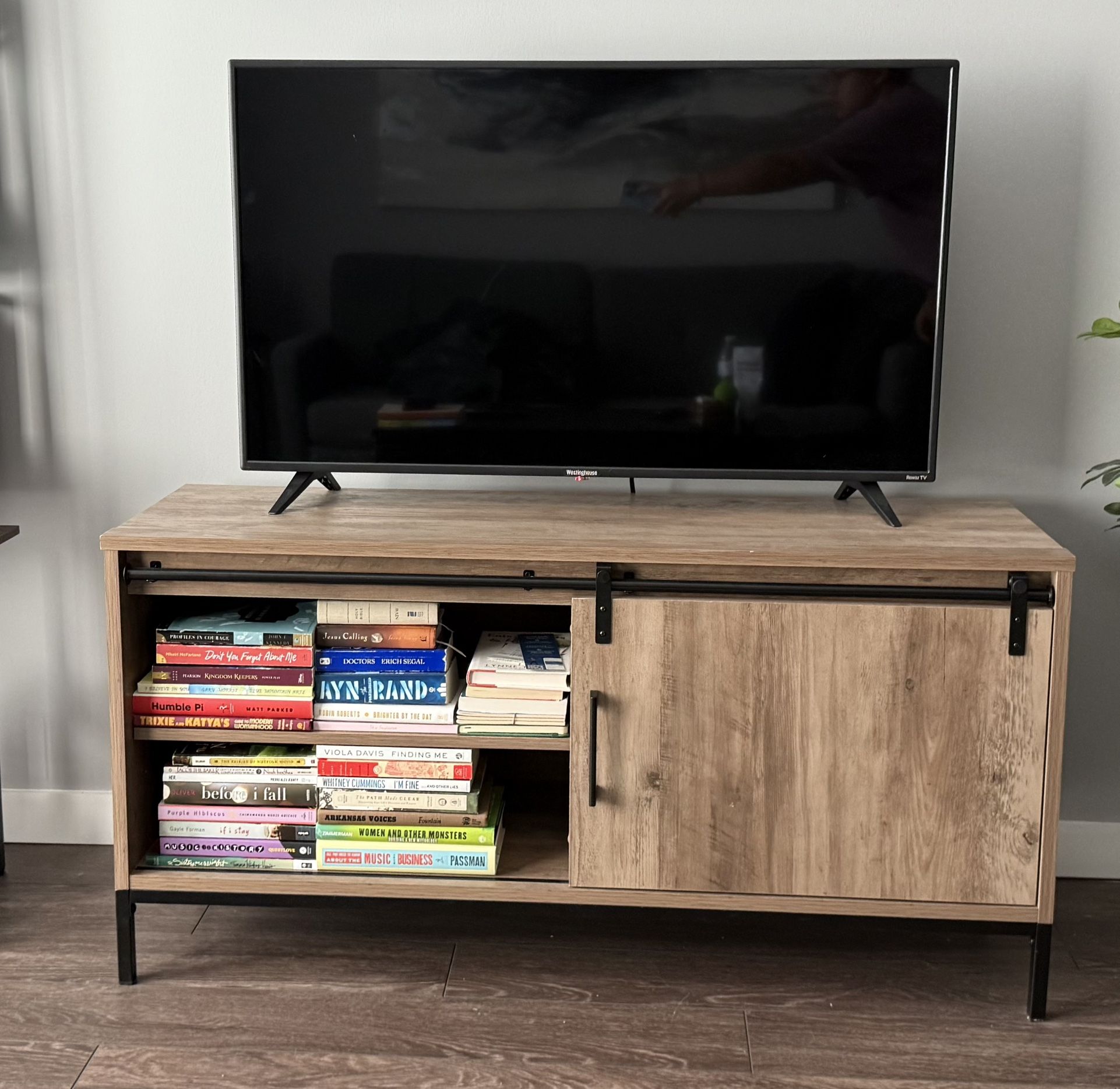 Wood Finish TV Stand With Sliding Door