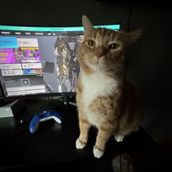 Aoc curved 27 in monitor