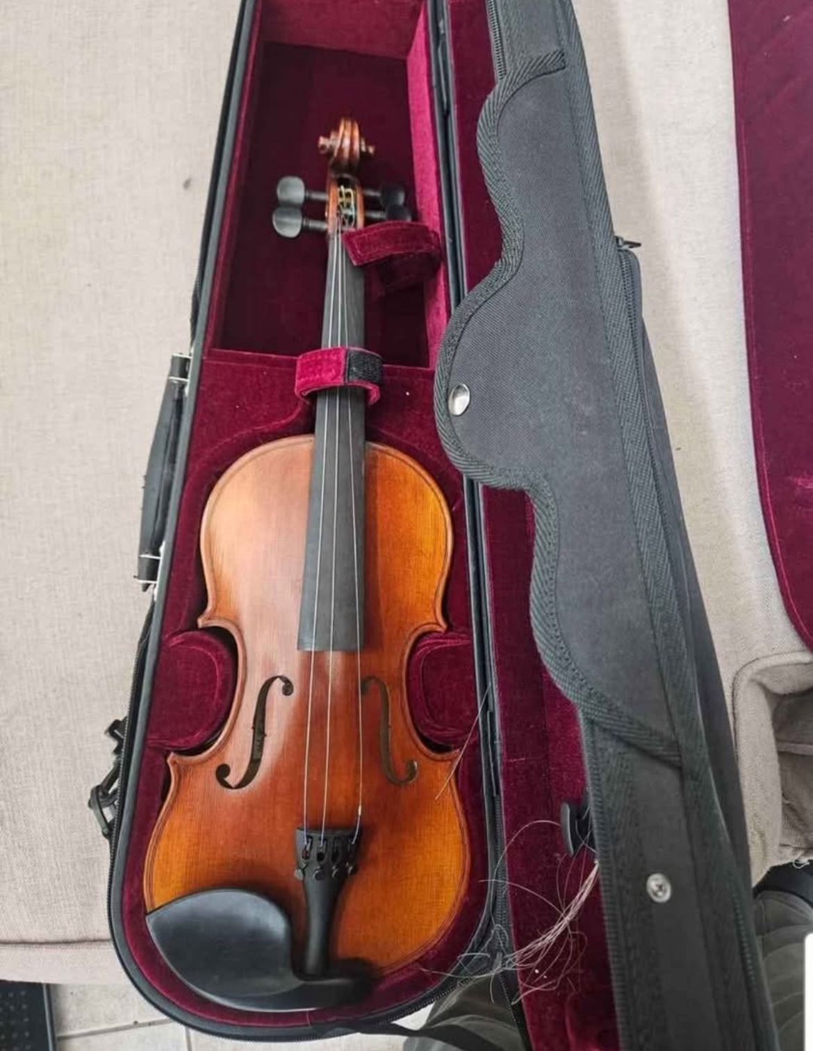 Violin