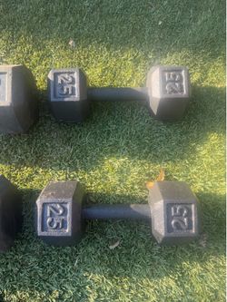 Dumbbells weight .. home gym fitness