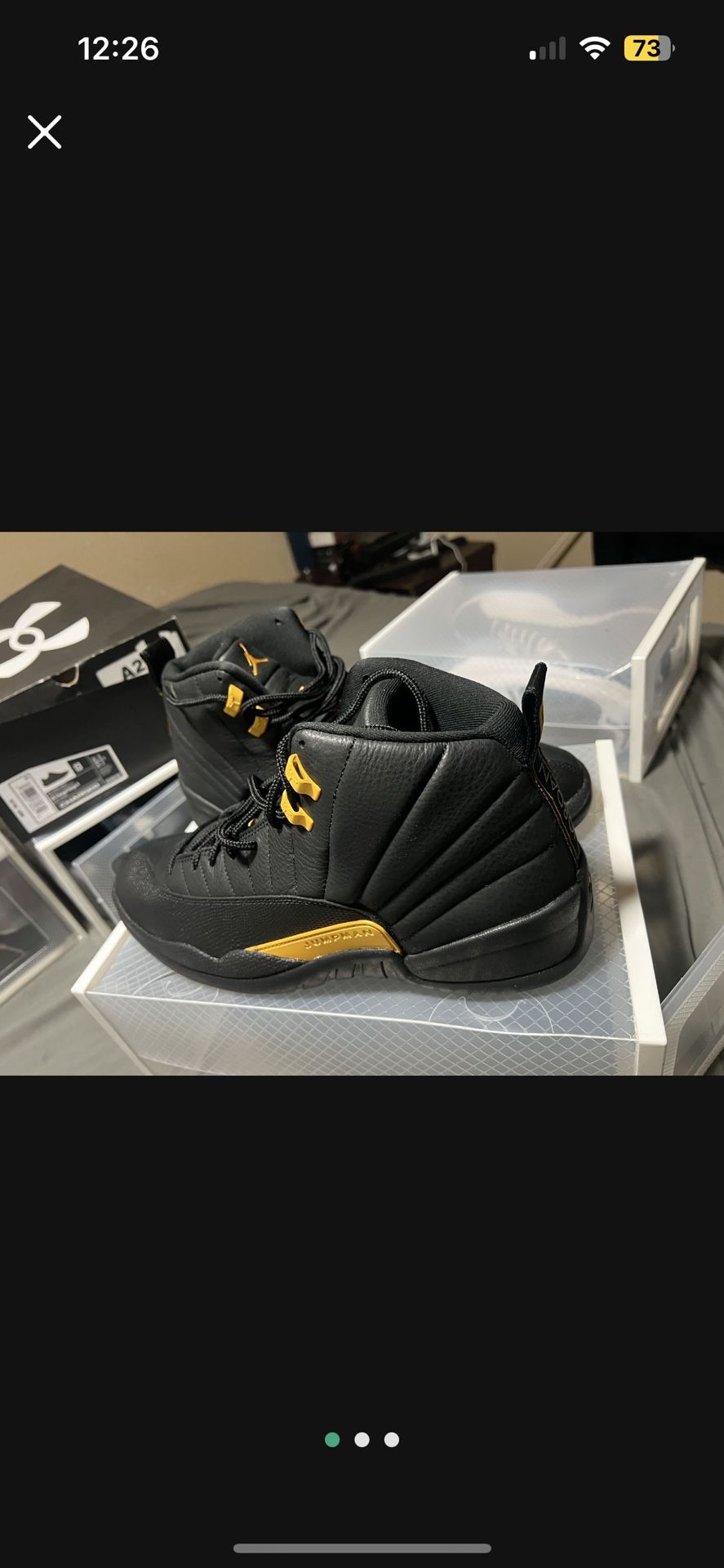 Air Jordan 12 Size 13