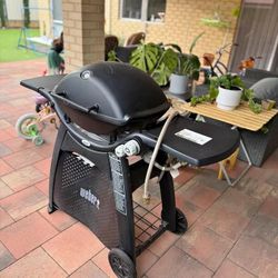 Weber Family Q3200