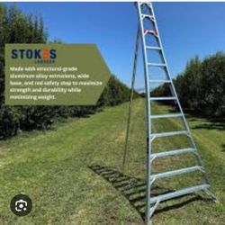 Orchard Ladder 