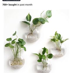 Wall hanging planter