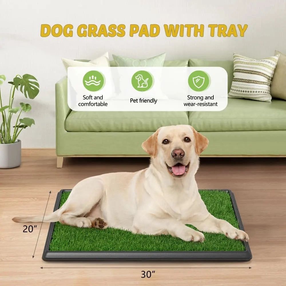 Potty for Puppy Training, Reusable Artificial Pee Pad, Indoor/Outdoor Pet Toilet Loo, 3-Layer System