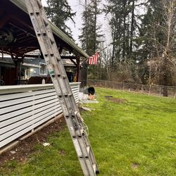 Werner 20 Aluminum Ladder 