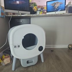 Automatic kitty litter box