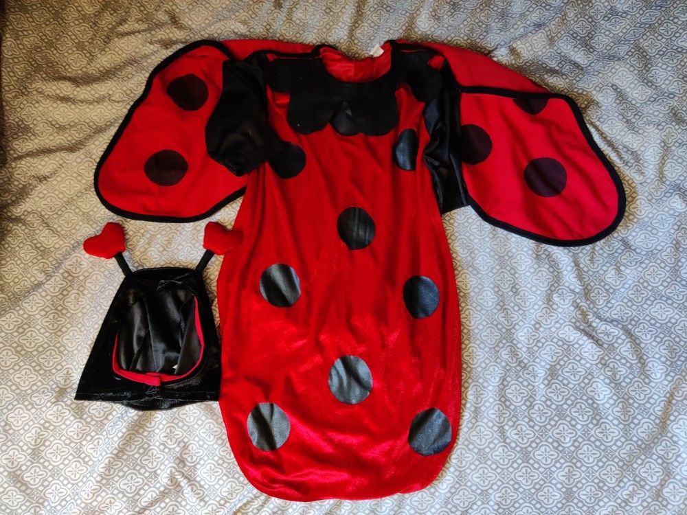 Ladybug Costume