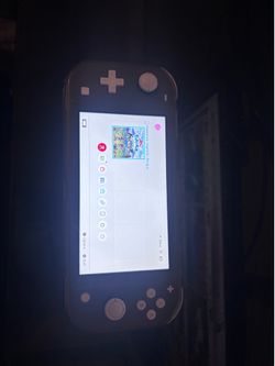 Switch lite