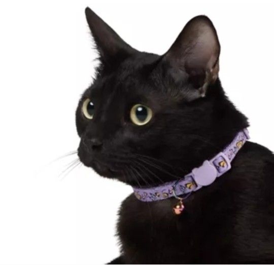Whisker City Exclusive Purple Butterfly Print Easy Release Adult Cat Collar