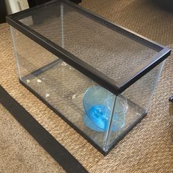Terrarium