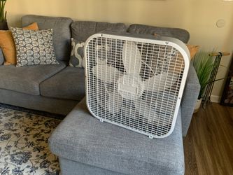 Fan