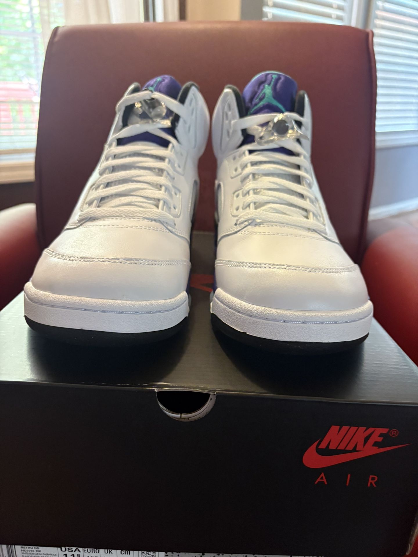 Nike Air Jordan 5 Retro Grapes SZ 11.5