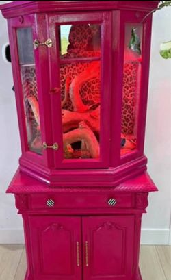 Custom reptile enclosure