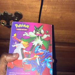 Pokémon card binder