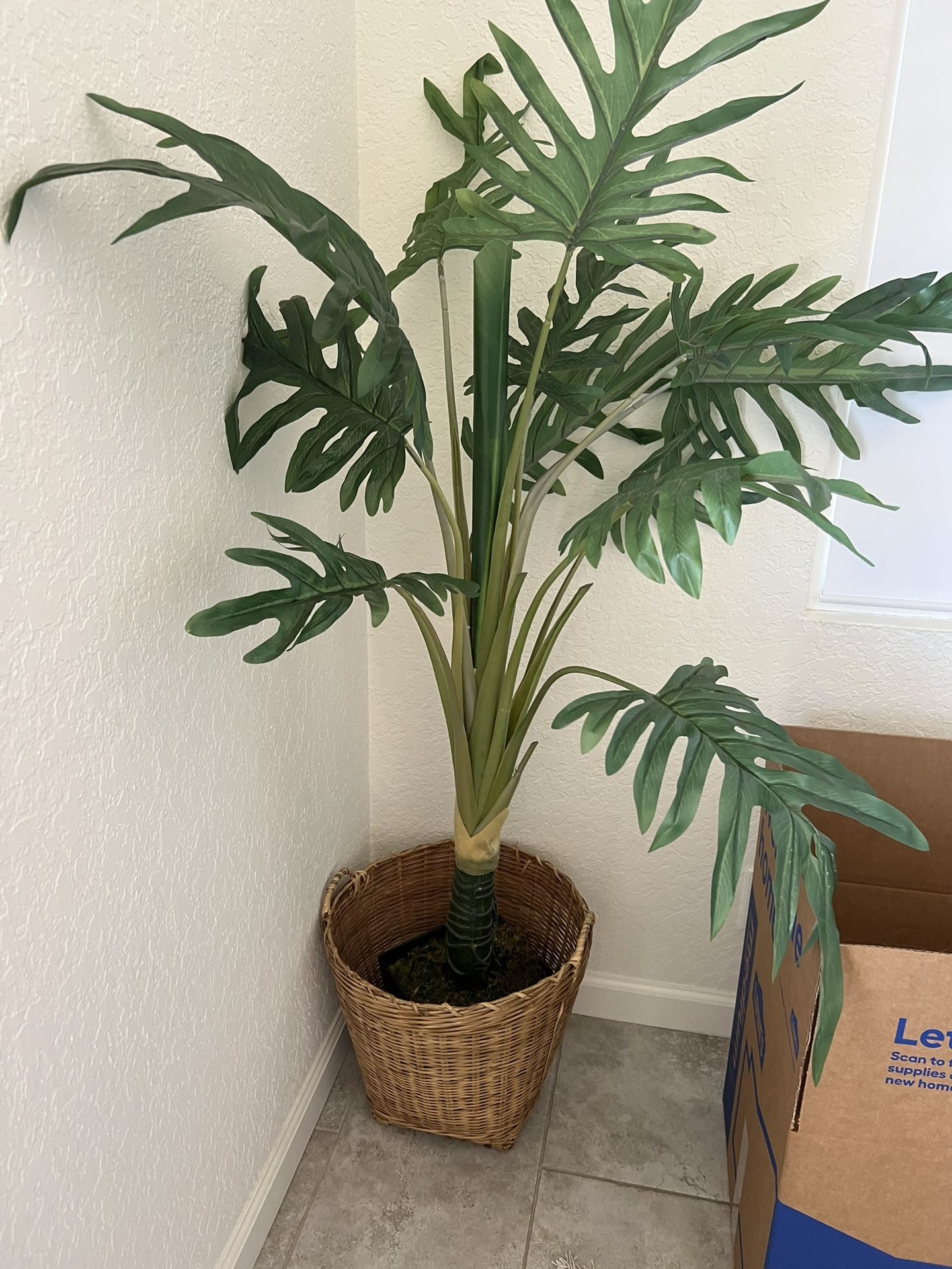 Fake Plant