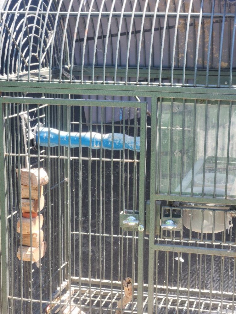 Jaula Grande Para Loro O Perico