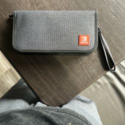 Nintendo Switch Pouch Carrying Case (Willing to Negotiate)