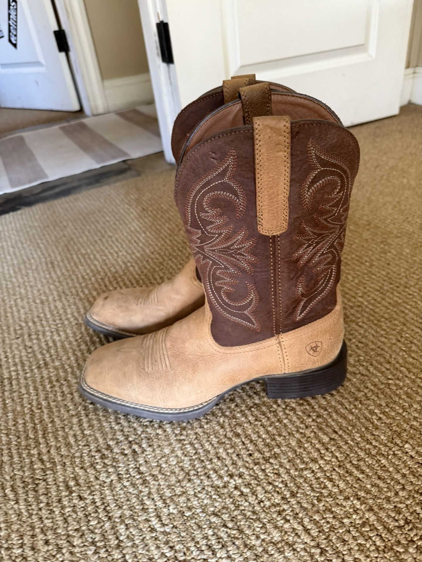 Ariat 10D Boots 