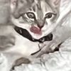 Izzy_____k