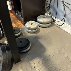 Weight Bench and Weights