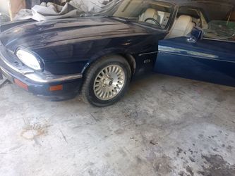 Jaguar