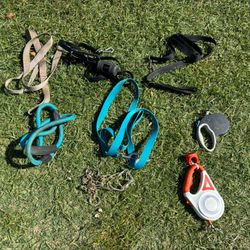 Dog Leashes Collars Harnesses 