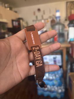 Wasteland 2 day general admission $170