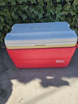 Igloo Cooler 40 QT