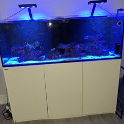 Pesera Con Fish Se Vende Agua Salada