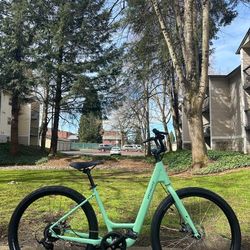 Specialized Roll 2.0 Low-Entry Comfort / Cruiser Bike – Medium Frame - Women’s Bicycle Step Thru