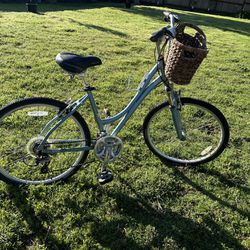 Raleigh Cruiser with Basket