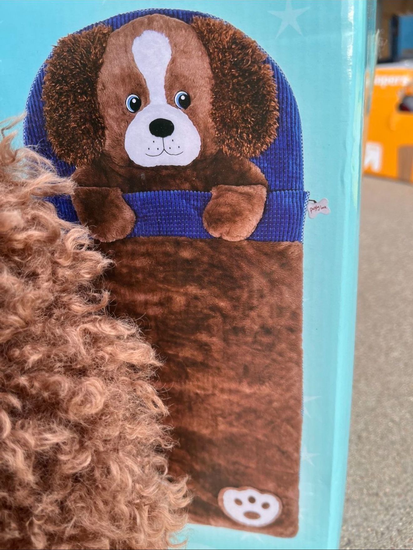 Kids Sleeping Bag (Brand New)