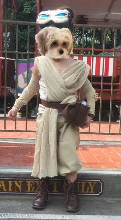 Star Wars Rey Costume