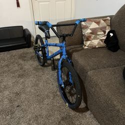 20 Inch Bike