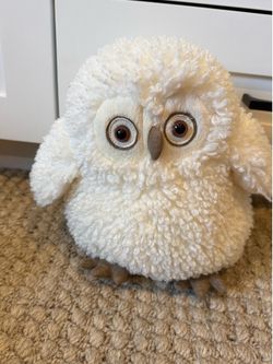Jelly cat owl