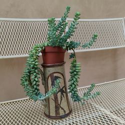 Potted Plant *Stand Not Included*