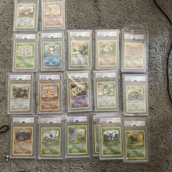 1st Edition Jungle PSA 10