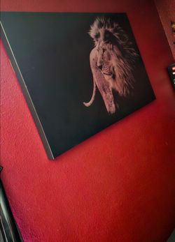 Lion canvas picture