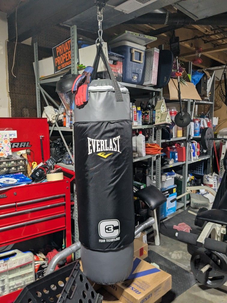 Everlast Punching Bag