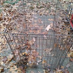 Large Dog Cage