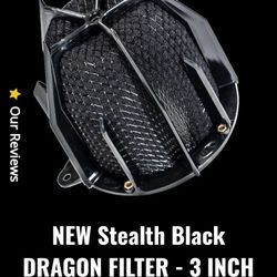 Cold Air Intake ( Dragon Filter Weapon R) Universal?
